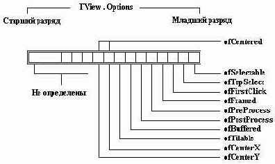 Поле Options